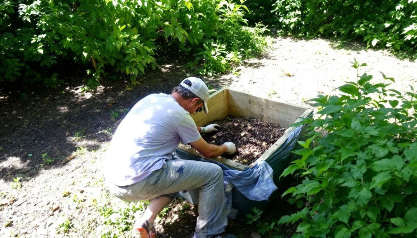 Guide pour débutants sur l'art du compostage dans votre jardin